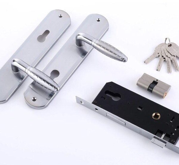 Door Handle With Lock Body