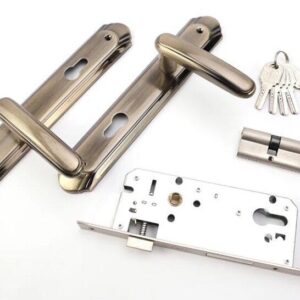 Door Handle With Lock Body
