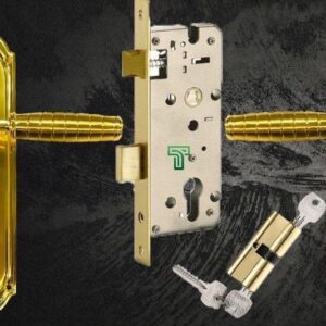 Door Handle with Lock Body