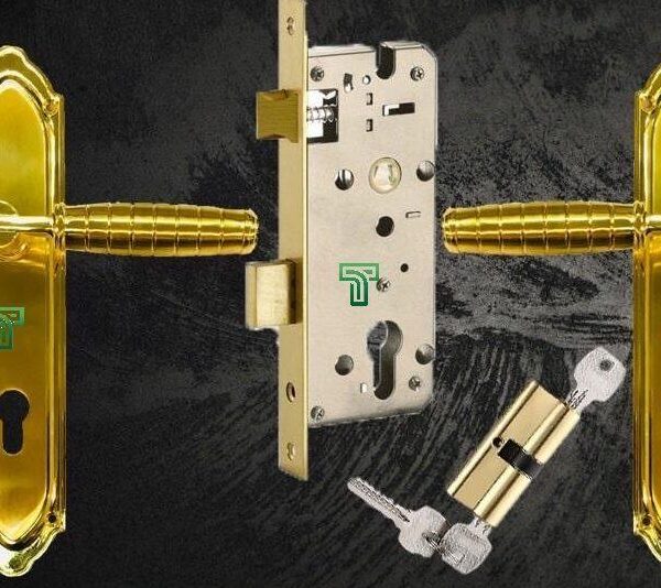 Door Handle with Lock Body
