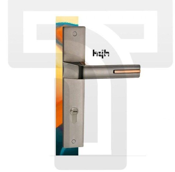 Door Handle with Lock