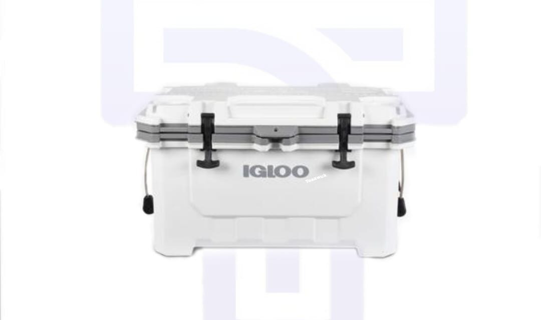IMG_7971-e1662569294672.jpg IMX 70 Qt Cooler White - Image 1