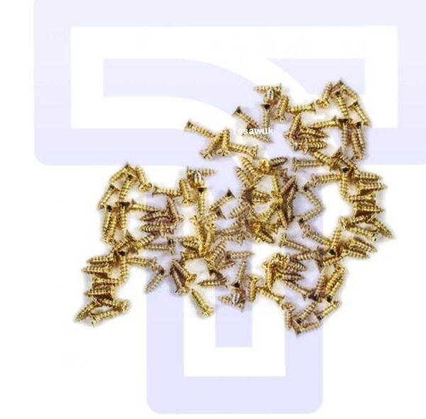 Mini Brass Screws - Philips