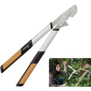 Pruning Shear