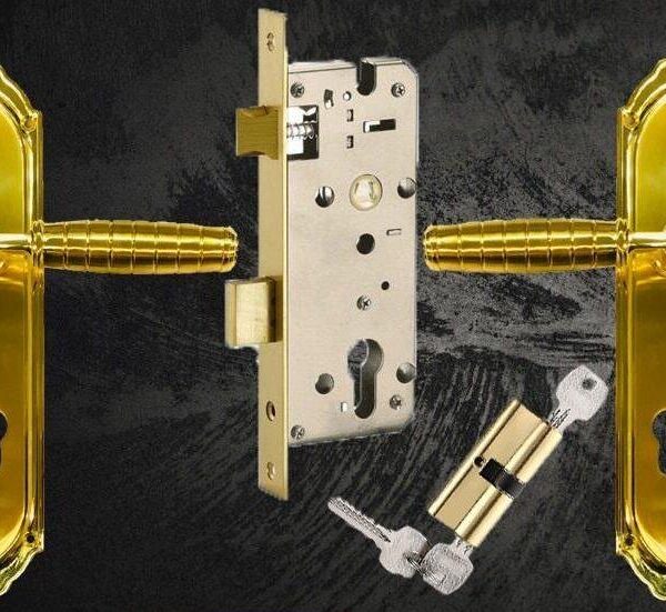 Premium Door Handle Set