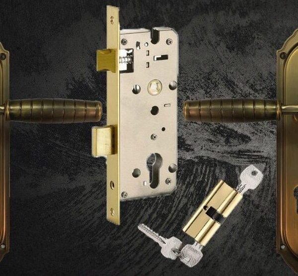 Premium Door Handle Set