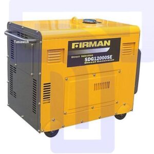 Power Without Noise: 12000W Silent Diesel Generator