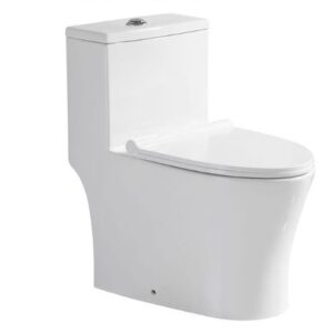One Piece Toilet Model 6291 White UF