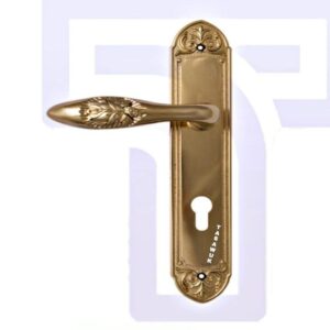 Cylenk Golden Door Handle