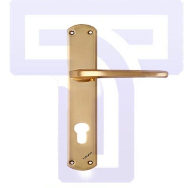 FBA Erica Door Handle