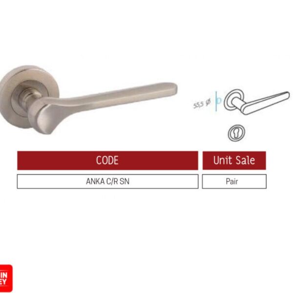Brass Door Handle