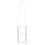 Folding Ladder
