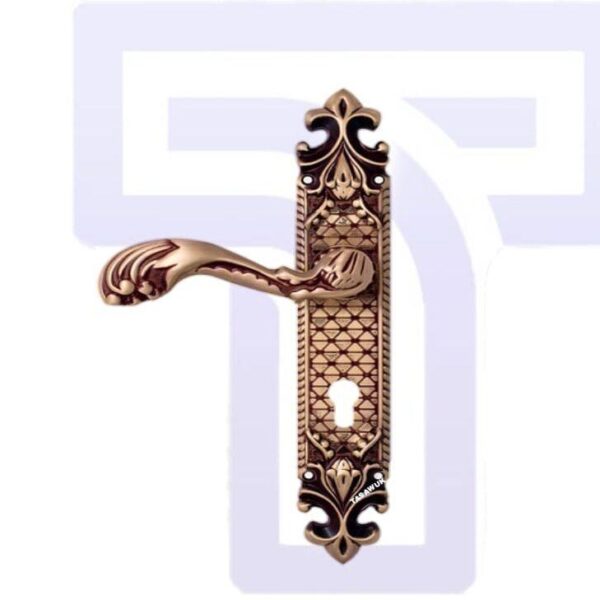 Kanee Brass Door Handle