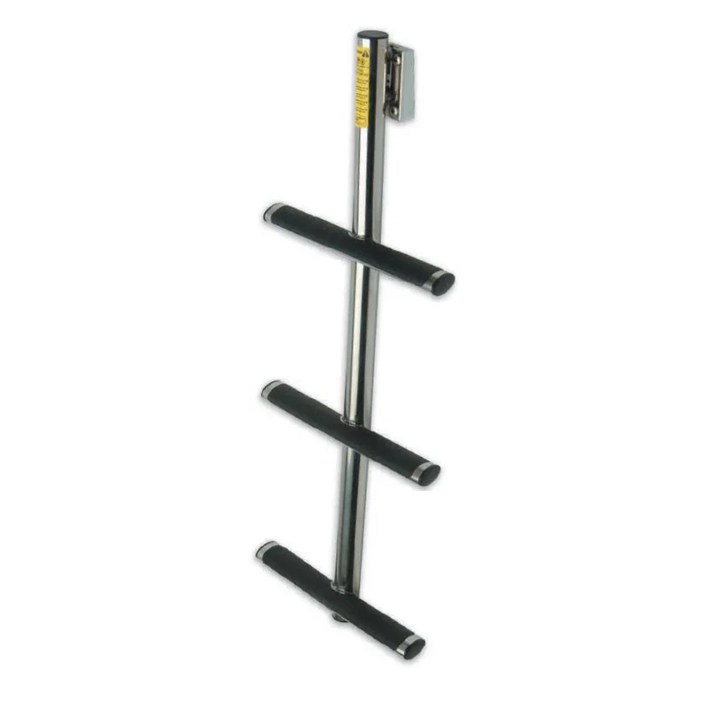 SportDiverLadder19833.webp Sport Diver Ladder - Image 1