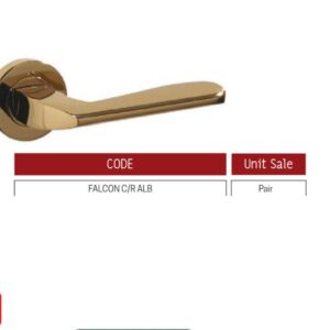 Brass Door Handle