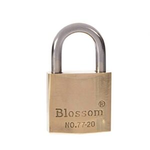 Blossom Heavy Duty Brass Padlock - 20mm Size