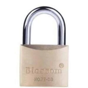 Blossom Heavy Duty Brass Padlock 20mm | Buy Online