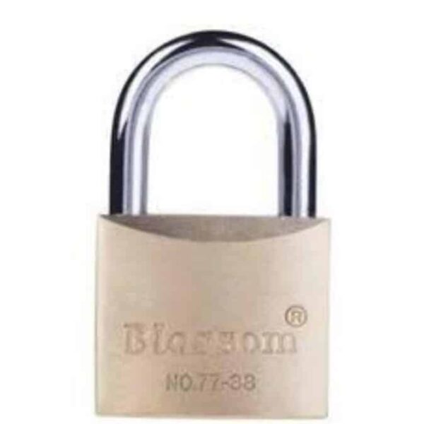 Blossom Heavy Duty Brass Padlock 20mm | Buy Online
