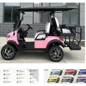 4 Seater Electric Golf Cart - S3