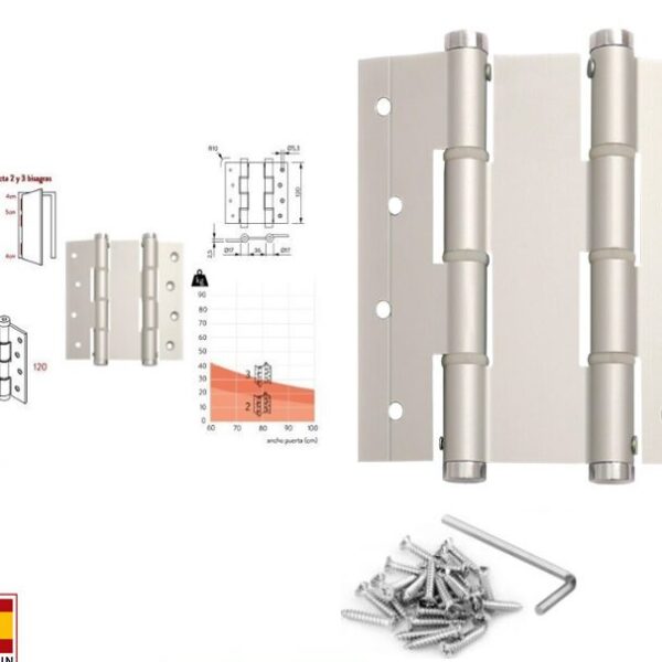 Effortless Door Control: Double Action Spring Hinges (5")