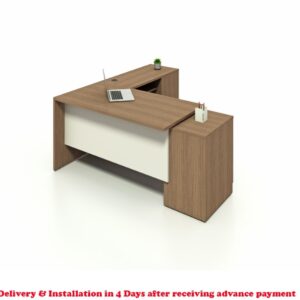 Executive Office Desk with Cabinet - 6