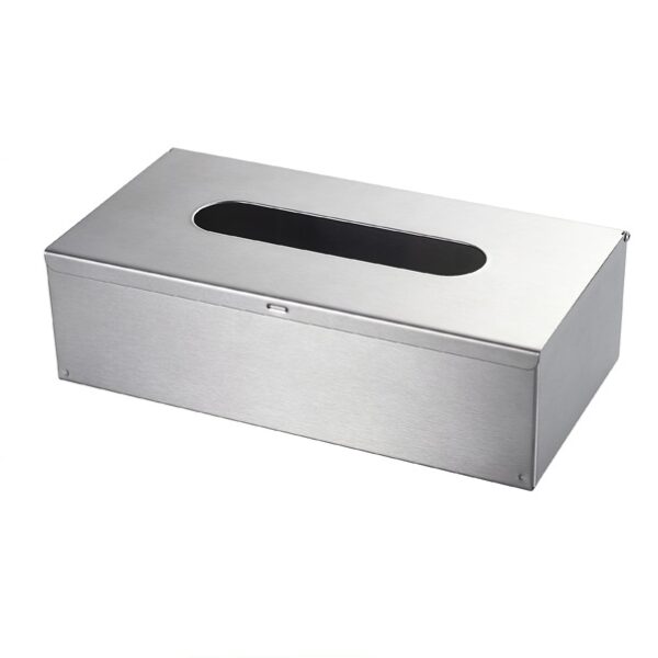 Metal Tissue Box Cover - 1, Silver