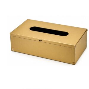 Metal Tissue Box Cover - 5, Matte Gold