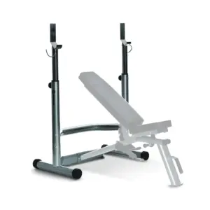 Versatile Strength Training: Horizon Adonis Adjustable Rack