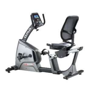 Comfortable Cardio: Teleseen Recumbent Bike 6811