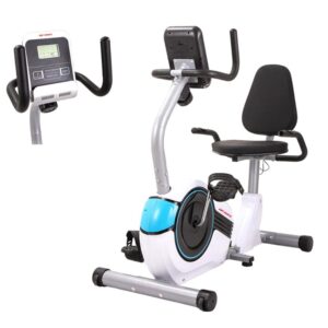 Smooth Ride: Teleseen Recumbent Magnetic Bike 6819